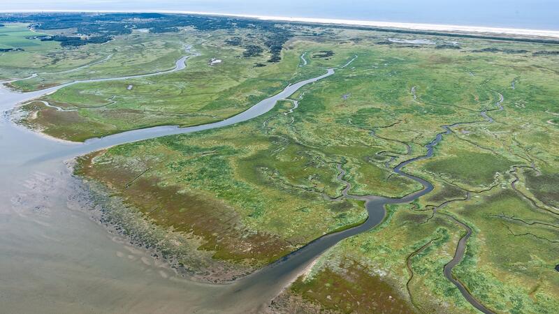 Saltmash at Schiermonnikoog. Joop van Houdt/ Rijkswaterstaat.
