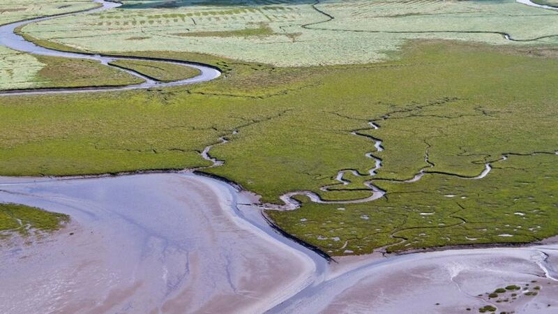 Natural marsh development in front of man-made foreland-type marshes at Dieksanderkoog, southern Schleswig-Holstein. Martin Stock.